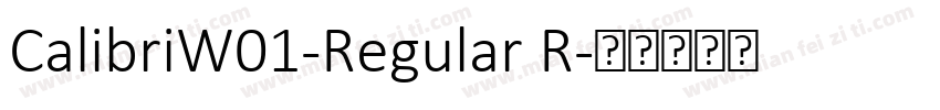 CalibriW01-Regular R字体转换